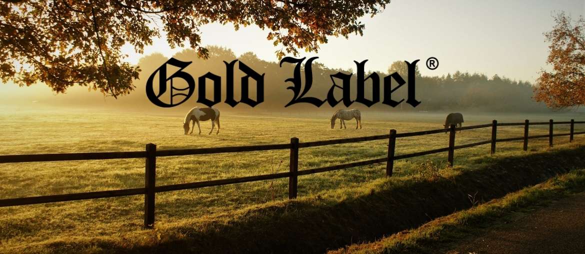 Celebrating Gold Label! Our Top 5