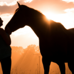 Date Night? No thanks, Valentine’s is for my Horse!