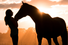 A woman with her horse against a sunset