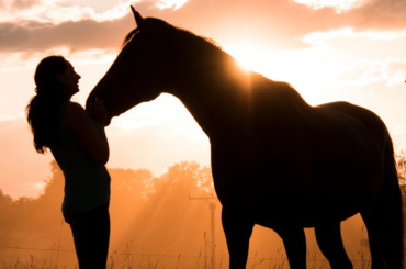 A woman with her horse against a sunset
