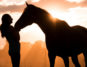 A woman with her horse against a sunset