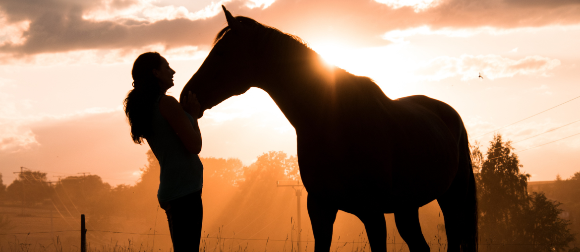 Date Night? No thanks, Valentine’s is for my Horse!