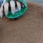 Tips on cleaning your grooming kit