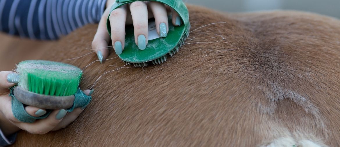Tips on cleaning your grooming kit