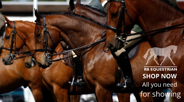 Horses in a showing class