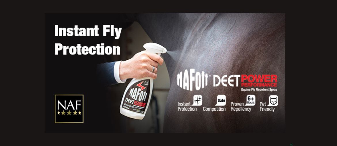 Top Tips on Repelling Flies