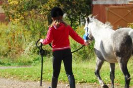 A young rider leading their pony