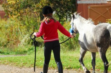 A young rider leading their pony