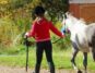 A young rider leading their pony