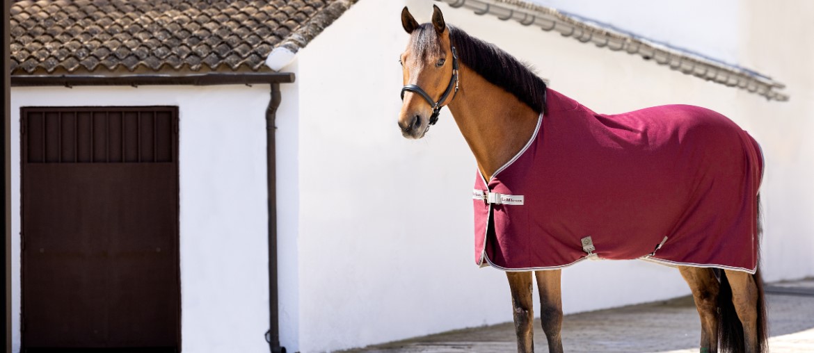 The best cooler rug for my horse?