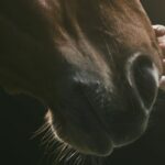 Keep calm and carry on in Autumn & Winter