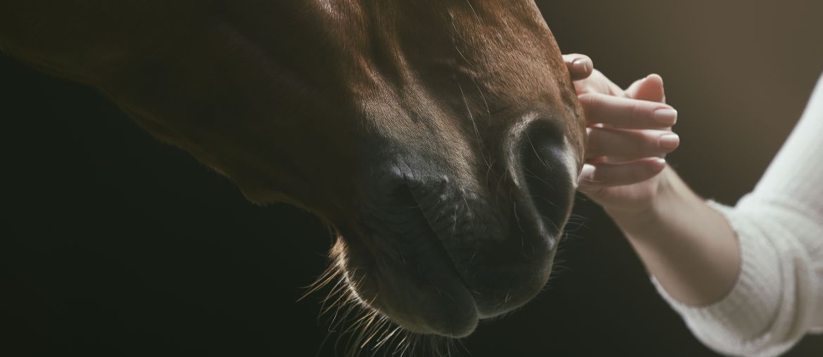 Keep calm and carry on in Autumn & Winter