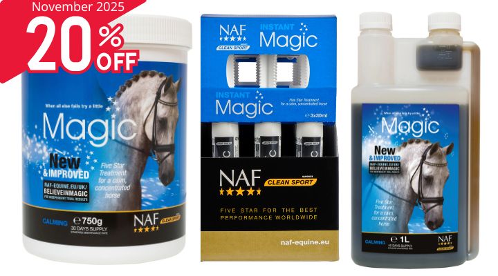 NAF Magic at RB Equestrian