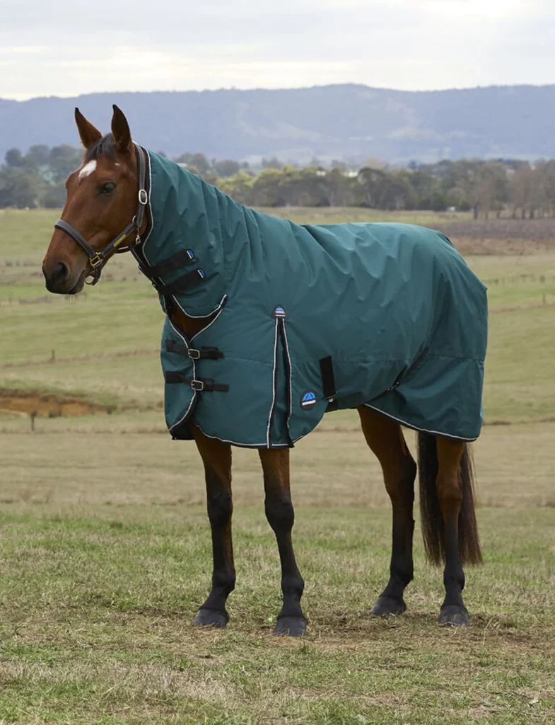 Weatherbeeta Comfitec Classic Combo 50g Turnout Rug