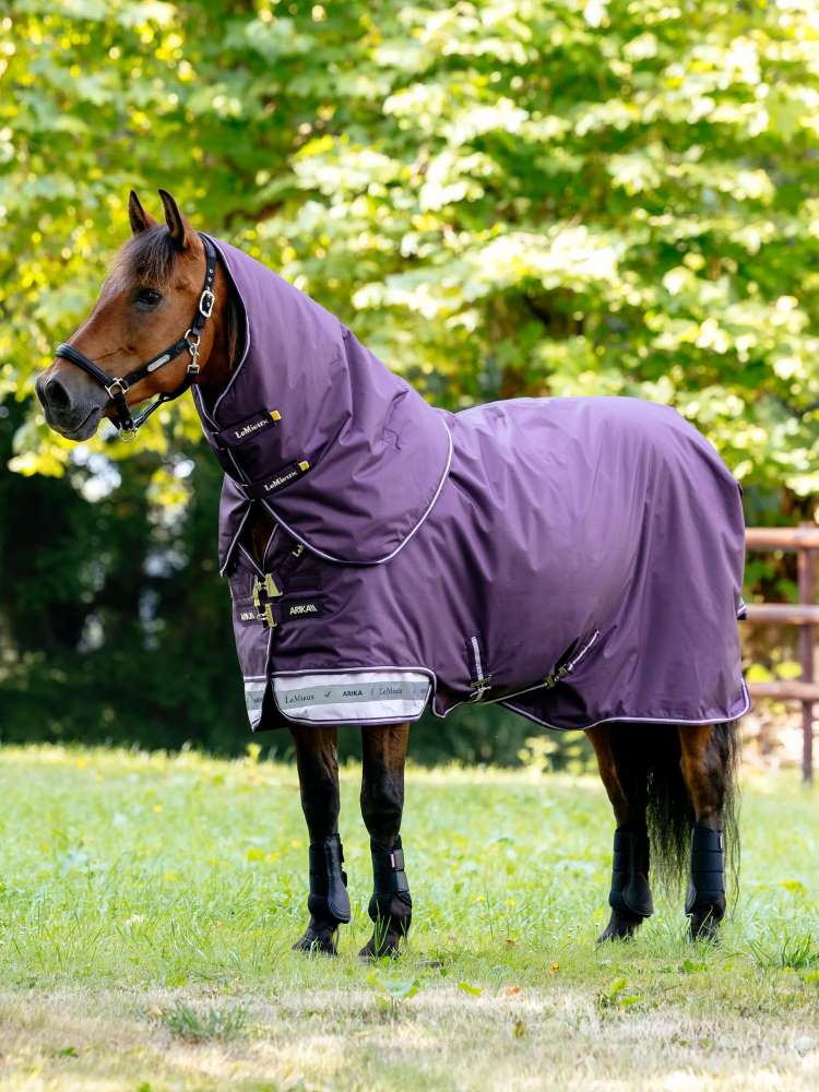 LeMieux Arika Ripstop Turnout Rug 200g in Juniper