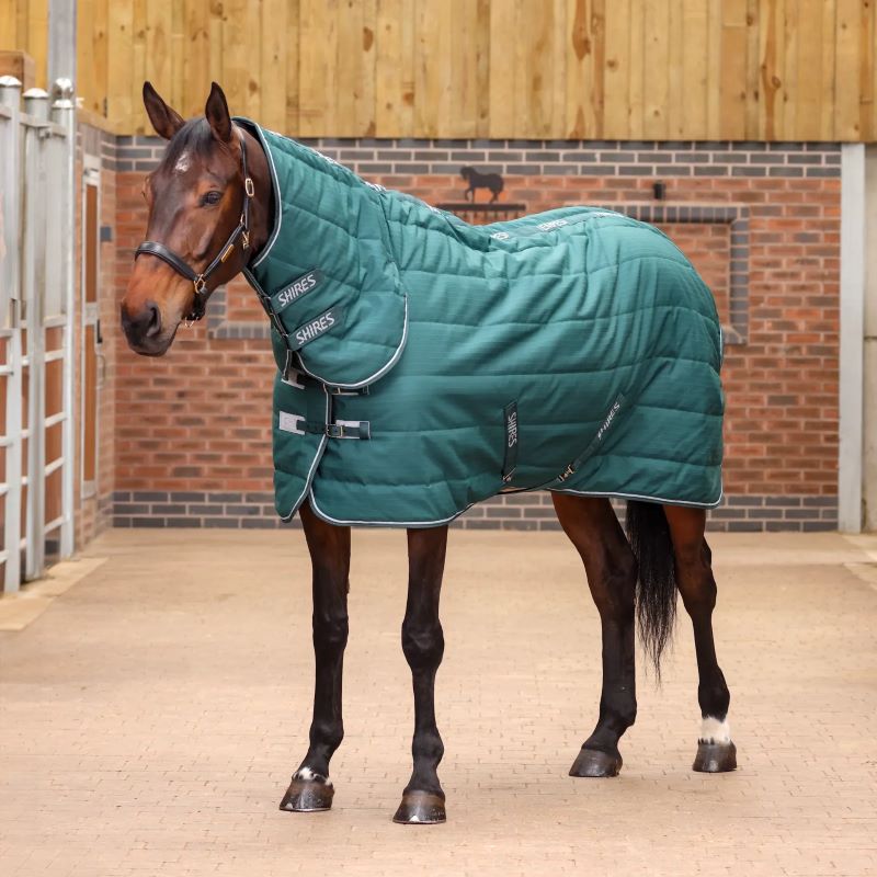 Shires Tempest Stable Combo Rug 200g in Emerald