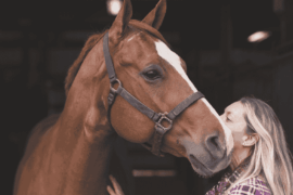 A woman stroking a brown horse