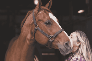 A woman stroking a brown horse