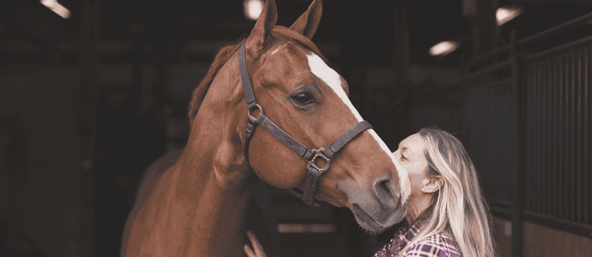 7 Promises Every Horse Owner Makes