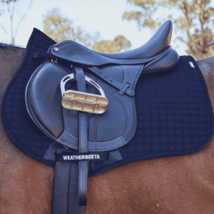 A saddlecloth on a horse