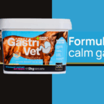 Stabled Horses: Managing Gastric Health