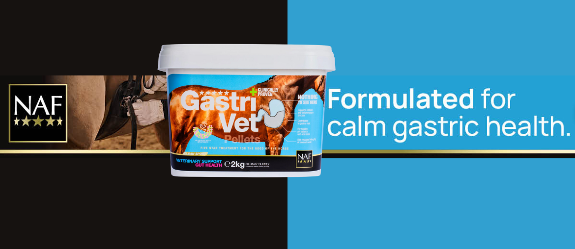 Stabled Horses: Managing Gastric Health