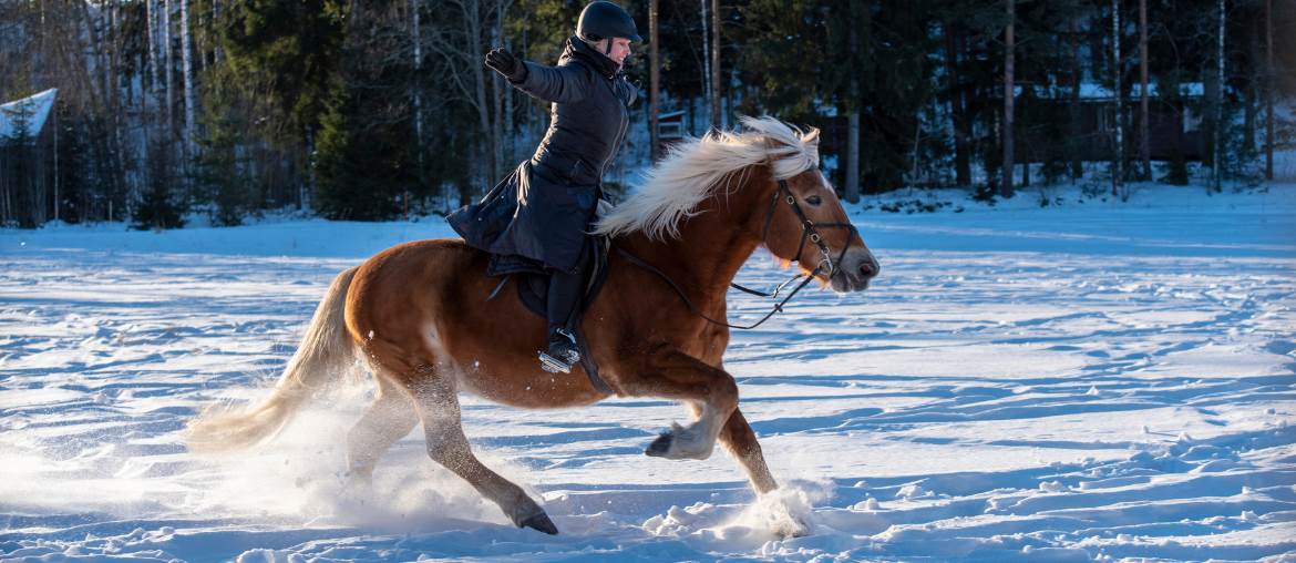 Winter Riding Gear Guide