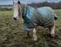 A horse in a rug in a muddy field