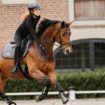 Why We Love Uvex Riding Hats