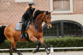 A rider wears a Uvex riding hat while riding a brown horse