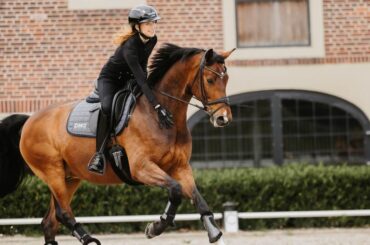 A rider wears a Uvex riding hat while riding a brown horse