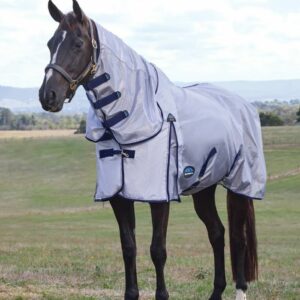 Weatherbeeta ComFiTec Hexi Shield Combo Fly Sheet A horse wearing a Weatherbeeta ComFiTec Hexi Shield Combo Fly Sheet