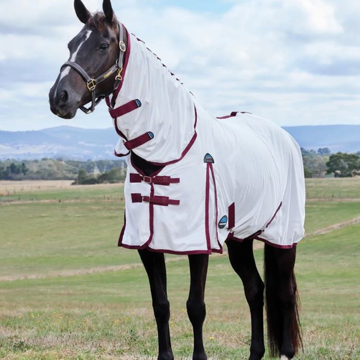 A horse in a field wearing a Weatherbeeta ComFiTec Essential Fly Sheet Combo in White