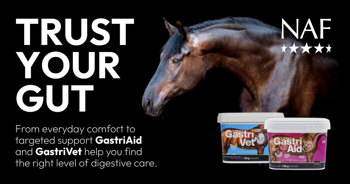 Horse digestive health support with NAF GastriAid and GastriVet