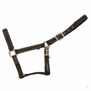 A field safe headcollar