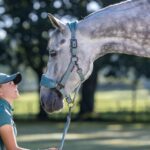 Horse Headcollar Guide