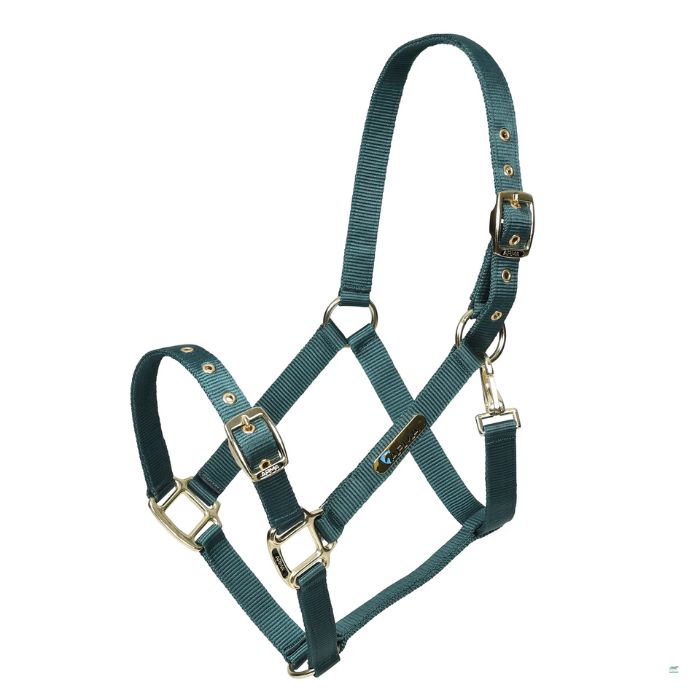 An ARMA nylon headcollar