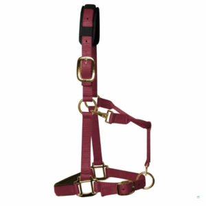 A padded headcollar