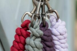 Four leadropes hanging from a clip