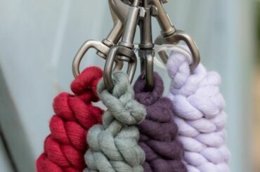 Four leadropes hanging from a clip