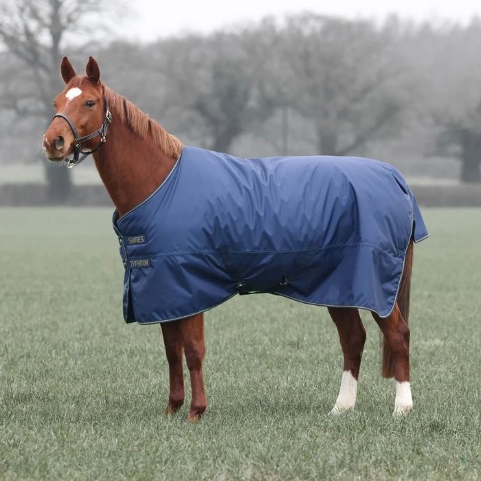 Horse wearing a blue lightweight turnout rug