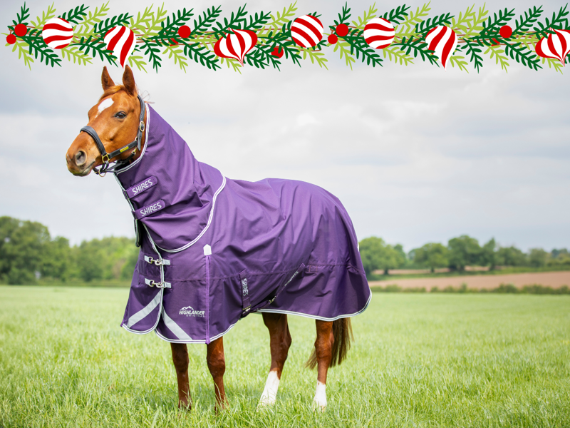 Huge Range of Turnout Rugs