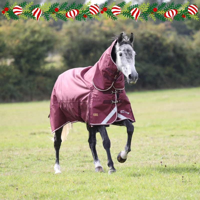 Keep your horse cosy this season
