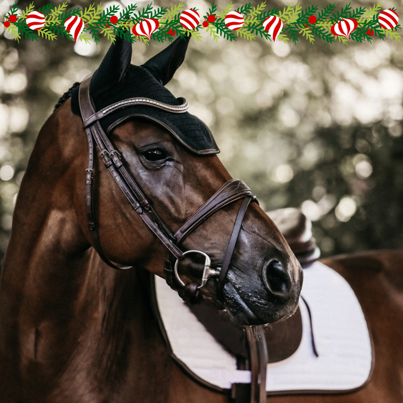 Because ponies deserve treats too!