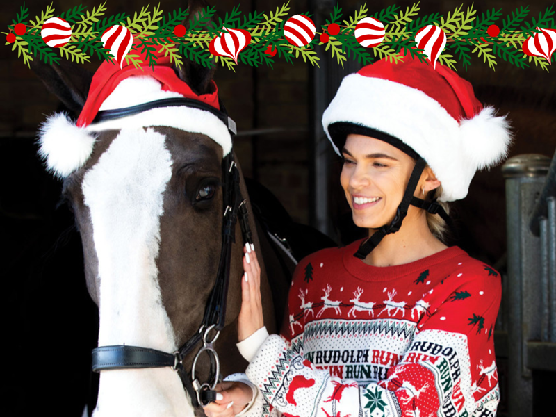 Explore our Christmas goodies