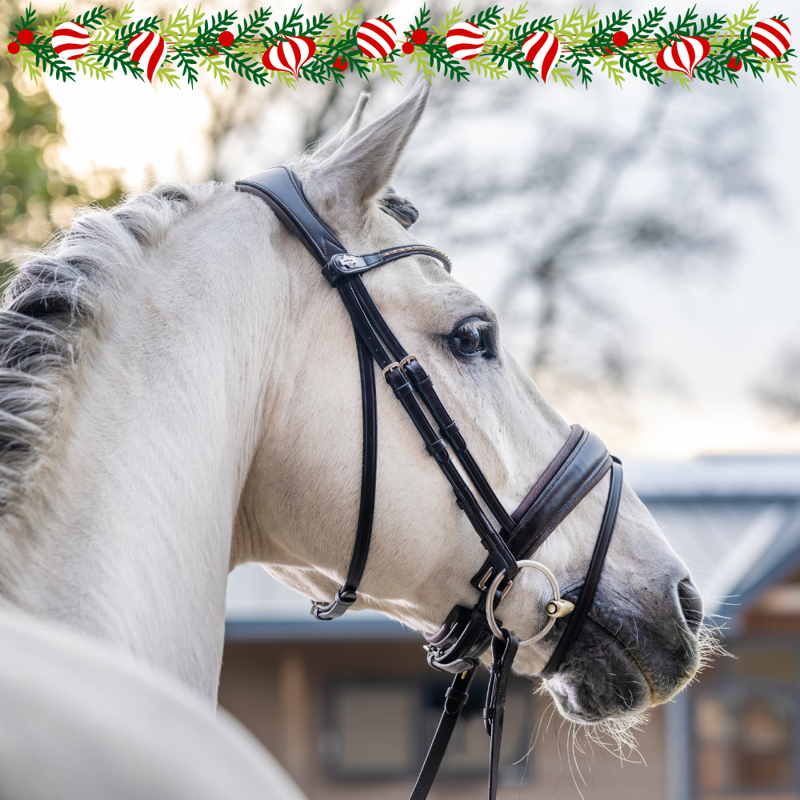 From Bits to Bridles