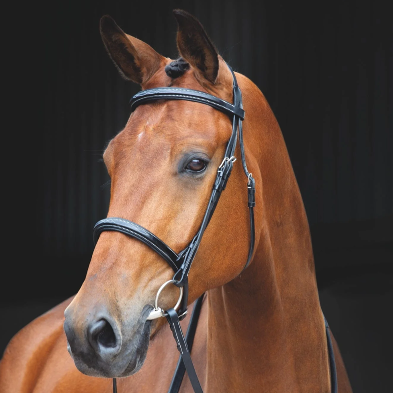 From saddles to bits