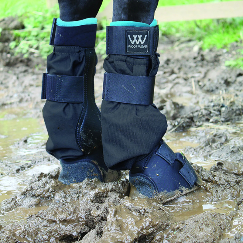 Wet weather care for your horse