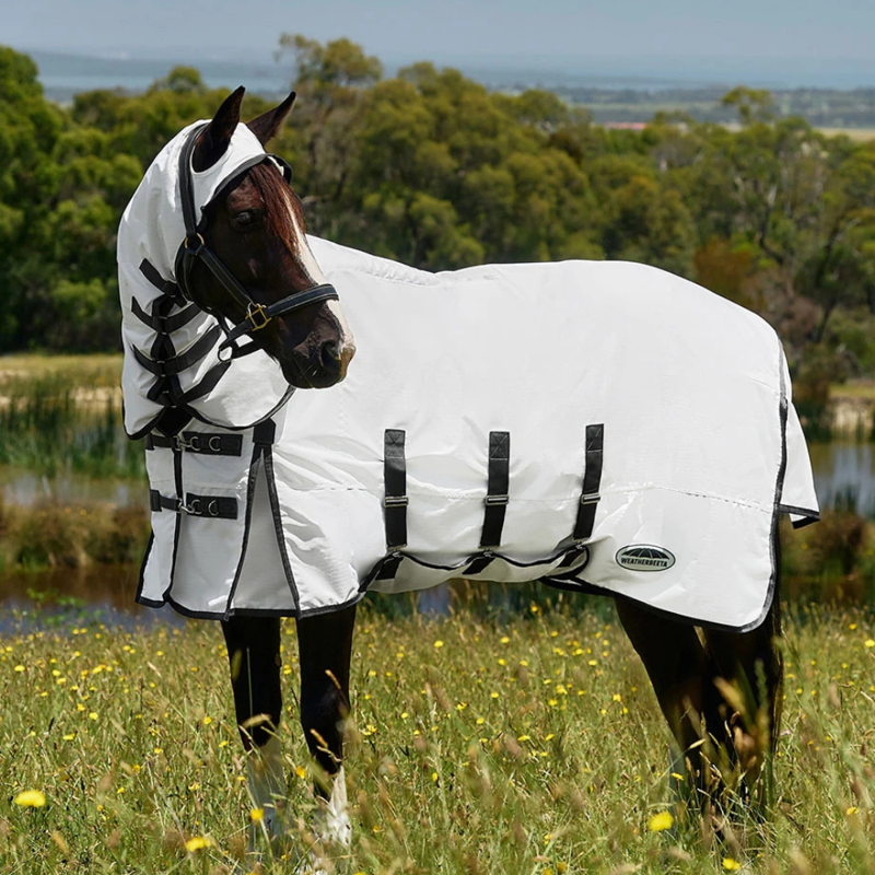 Beat the midges early this year