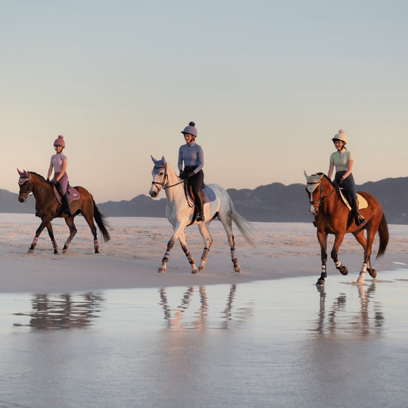 Ride out in style this summer